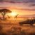 Safari Guide for New Zealanders: How to Plan a Wildlife Safari That Delivers